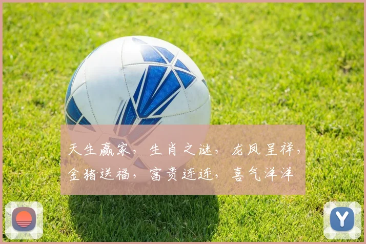 天生赢家，生肖之谜，龙凤呈祥，金猪送福，富贵连连，喜气洋洋