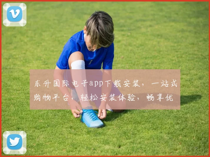 东升国际电子app下载安装，一站式购物平台，轻松安装体验，畅享优惠三重礼，必看攻略
