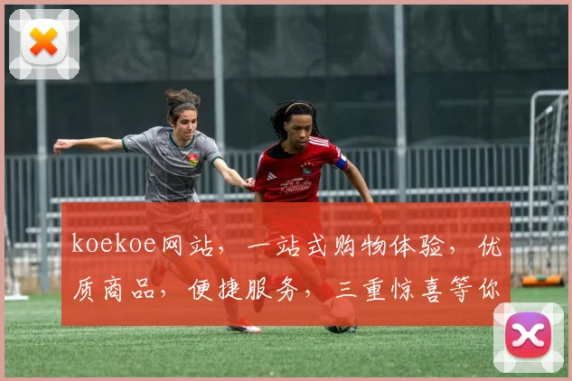 koekoe网站，一站式购物体验，优质商品，便捷服务，三重惊喜等你来