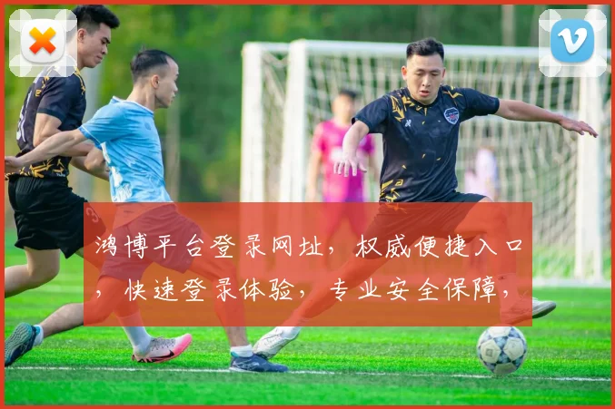 鸿博平台登录网址，权威便捷入口，快速登录体验，专业安全保障，不容错过